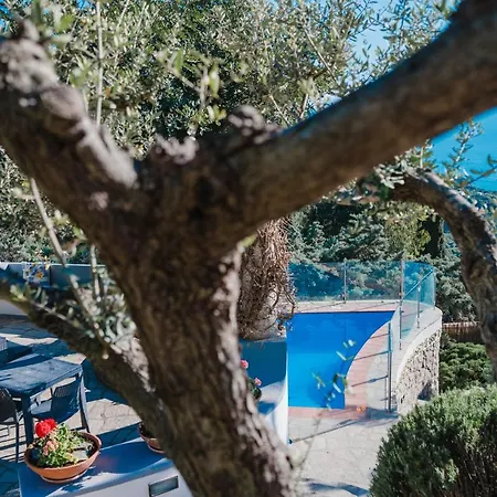 Apartment Damecuta
