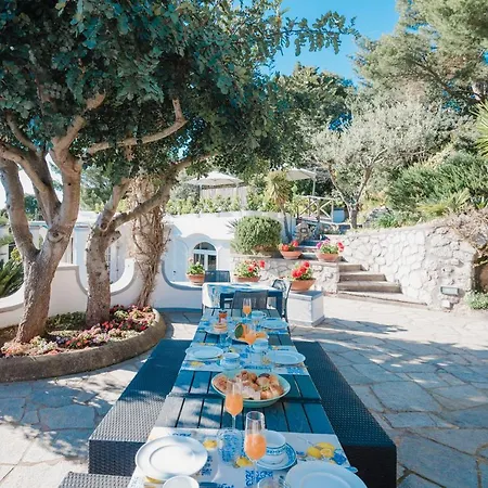 Damecuta * Anacapri (Isola di Capri)